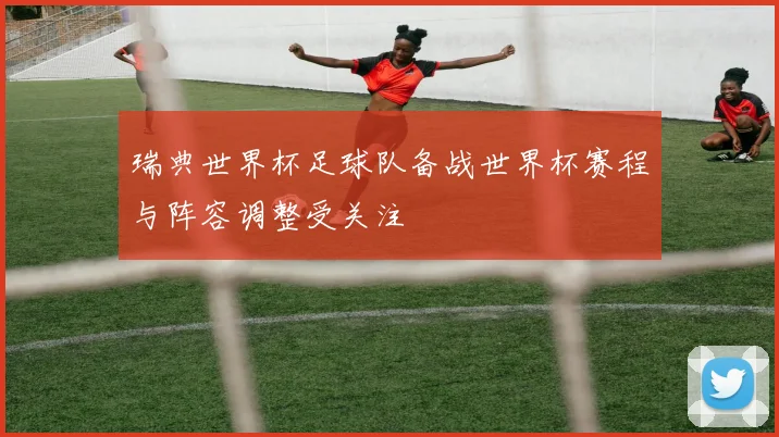 瑞典世界杯足球队备战世界杯赛程与阵容调整受关注